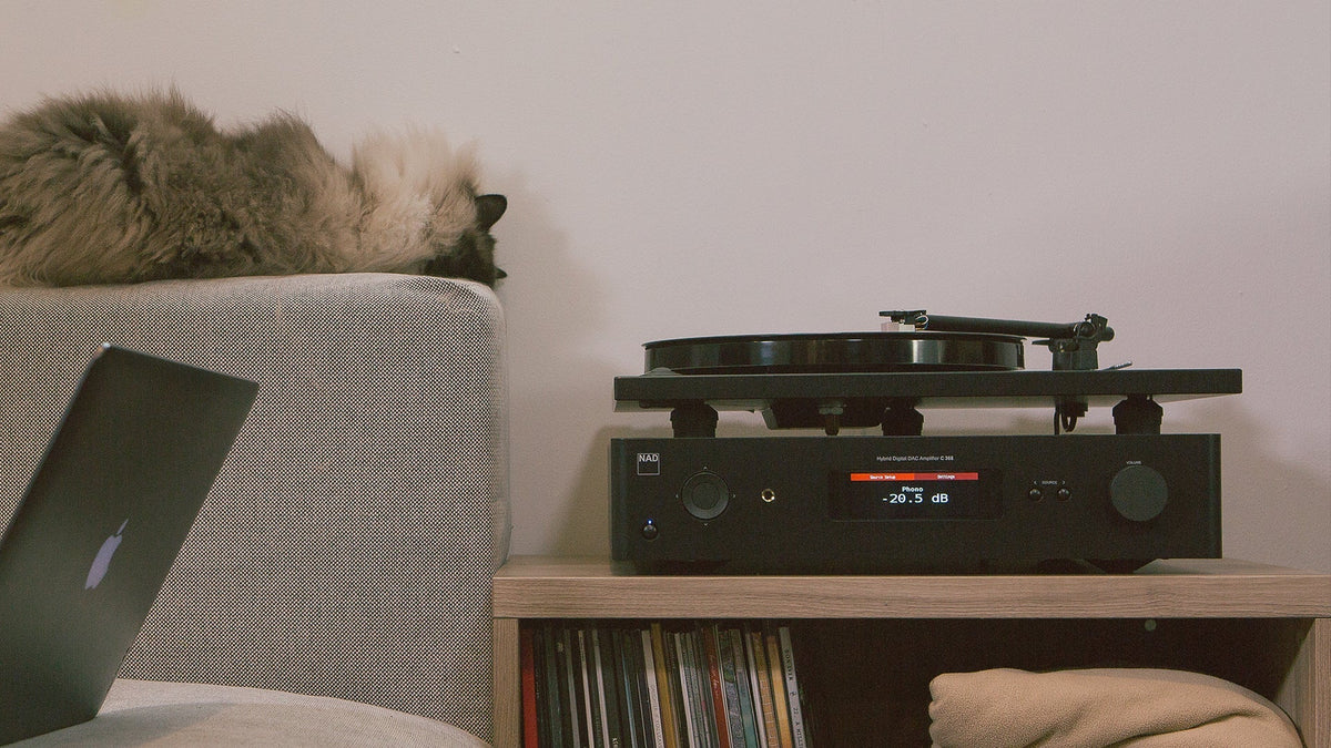 NAD C 368 and turntable