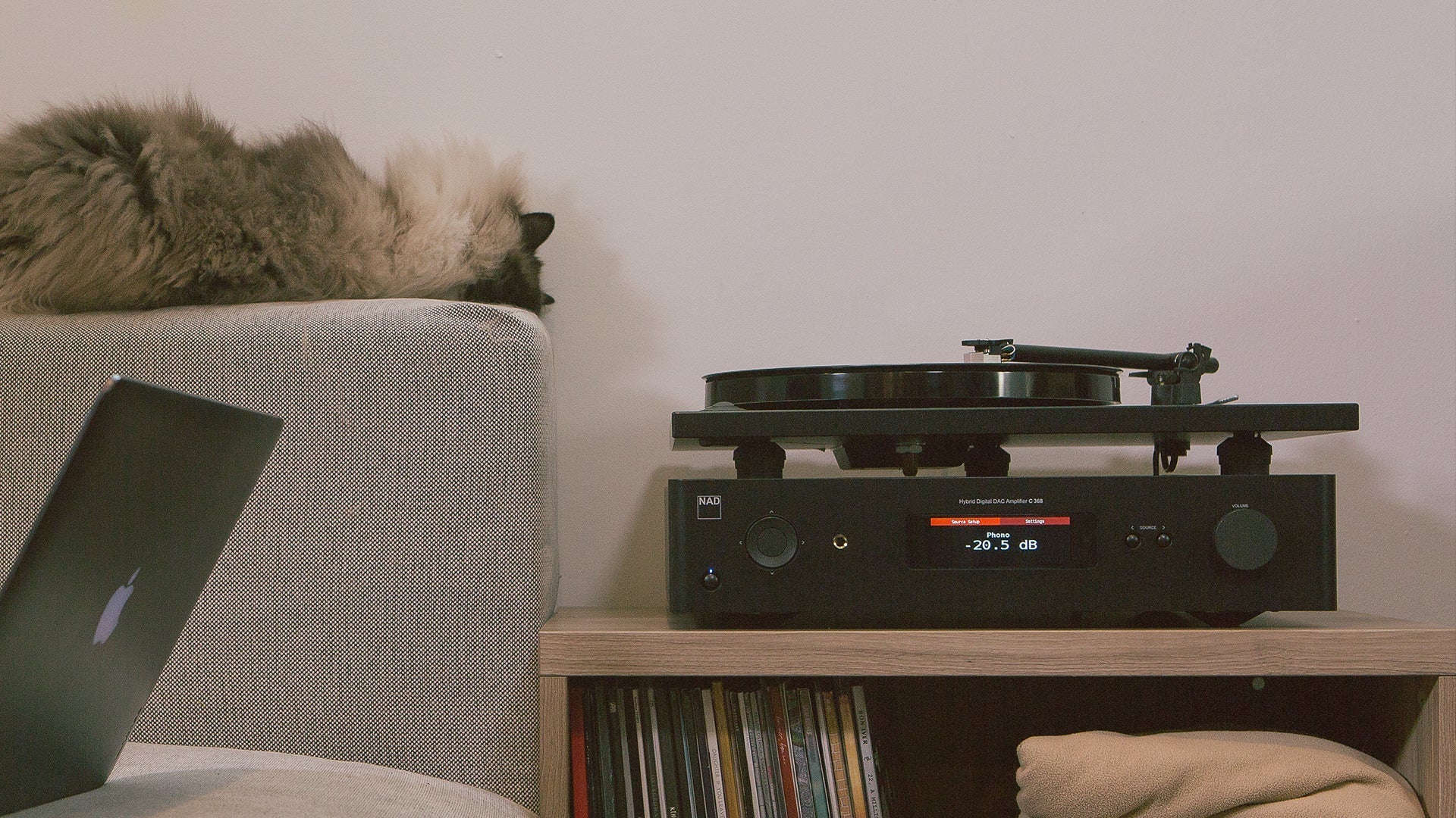 NAD C 368 and turntable