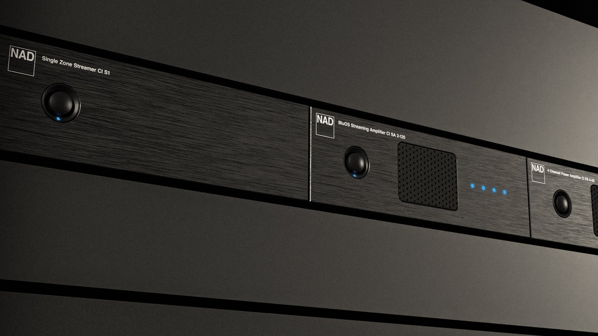 NAD CI Product||NAD CI Rear Panel